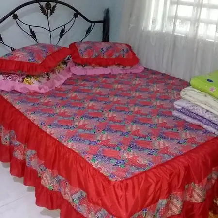 Amimas Homestay Kampong Telok  Exterior photo